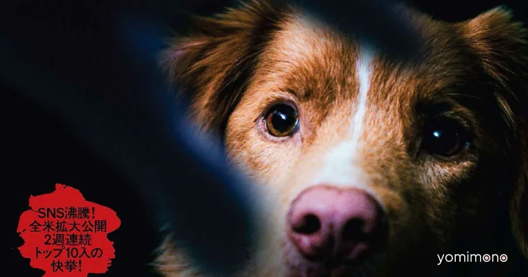 Dog's-Eye Horror Film 'Good Boy' Reveals Special Visual, Collaboration Goods