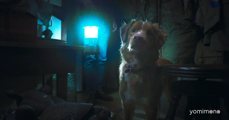 Making-Of Video Shows Heartwarming Techniques Behind Dog-Perspective Horror GOOD BOY